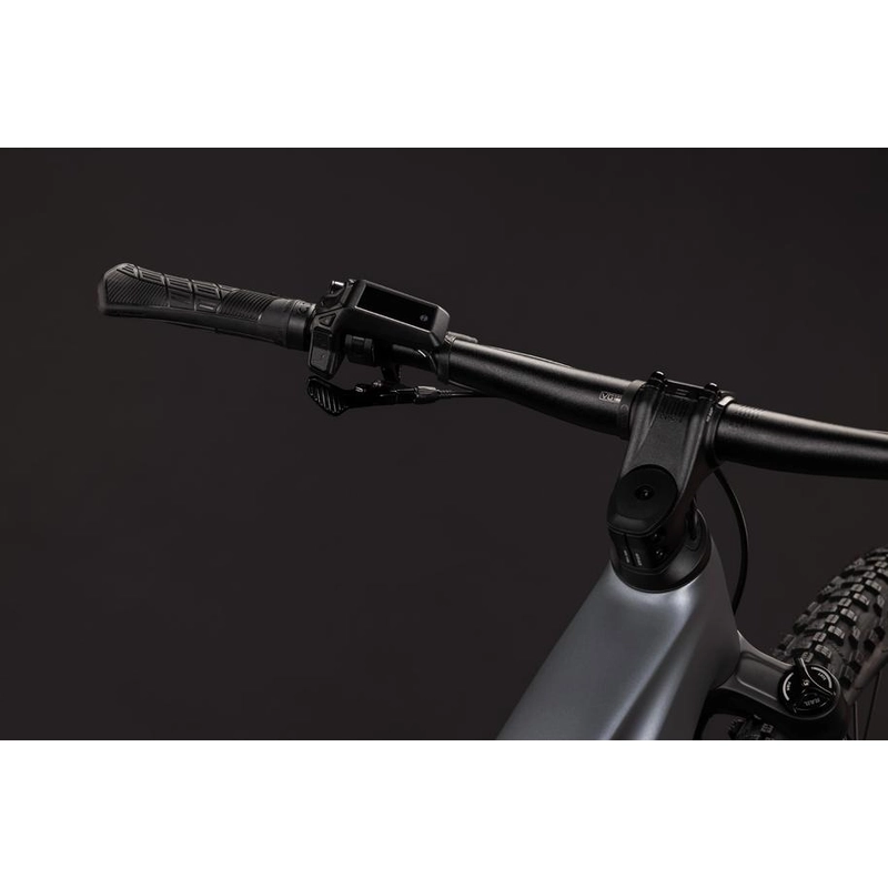Reaction Hybrid Race 29'' 12v 120mm 800Wh Bosch Perf Line CX Slabgrey’n’Chrome 2027 Taglia L #1