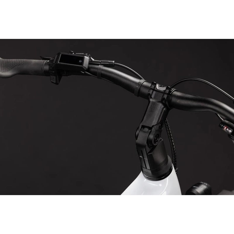 Touring Hybrid ONE 28'' 11v 100mm 600Wh Bosch Performance Line Metallicwhite’n’Chrome 2027 Taglia L #2