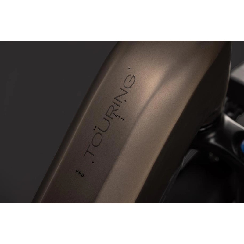 Touring Hybrid Pro Easy Entry 28'' 12v 100mm 800Wh Bosch PL PX Metallicumbra’n’Black 2027 Taglia XL #3
