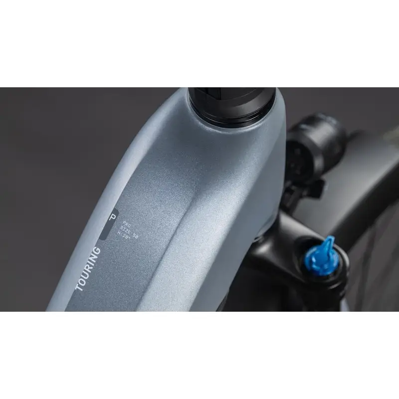 Touring Hybrid Pro Easy Entry 28 '' 11v 100mm 800Wh Bosch for line px pearlgrey'n'gey 2026 size XS #1