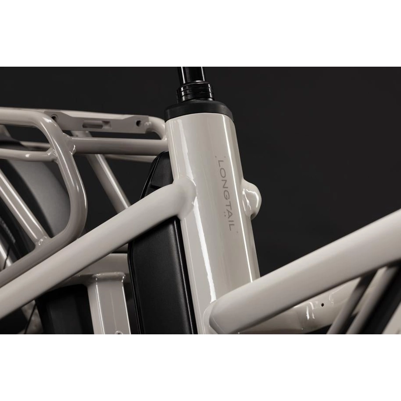 Longtail Hybrid 26'' 11v 800Wh Bosch Cargo Line Greybeige’n’Grey 2027 #2
