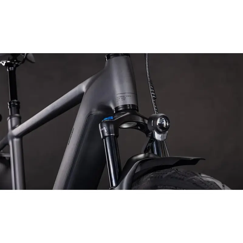 Katmandu Hybrid Comfort Pro 28 '' 1V 100 mm 800Wh Bosch Line CX Slabgrey'n'Black 2026 Tamaño s #5