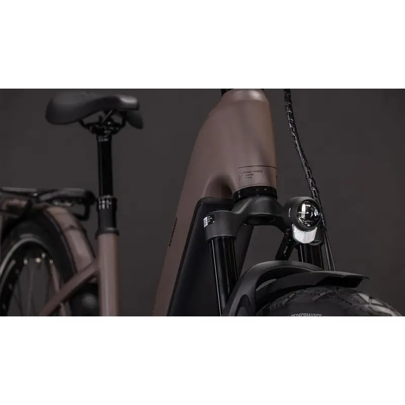 Katmandu Hybrid Exc Easy Entrada 28 '' 12V 100 mm 800Wh Bosch Cx Cedar'n’Chrome 2026 Tamaño XS #5