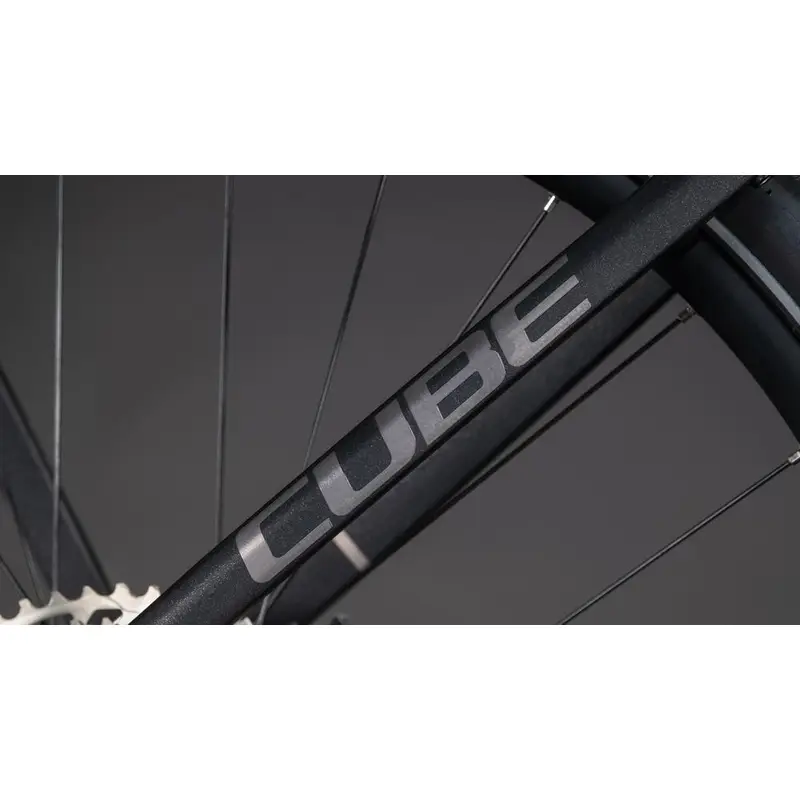 KATHMANDU HYBRID SLX 28 '' 12V 100MM 800WH BOSCH EN LINE CX SilverDust'n'Chrome 2026 Tamanho S #4