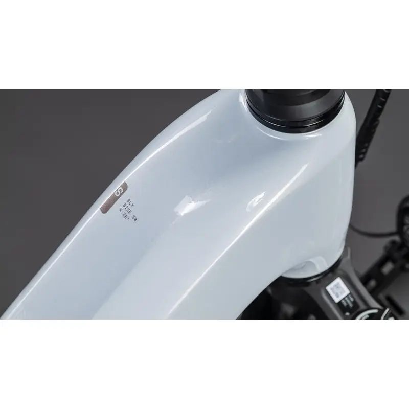KATHMANDU HYBRID SLX Easy Entrada 28 '' 12V 100mm 800WH Bosch CX Foggrey'n'gy 2026 Tamanho XS #1