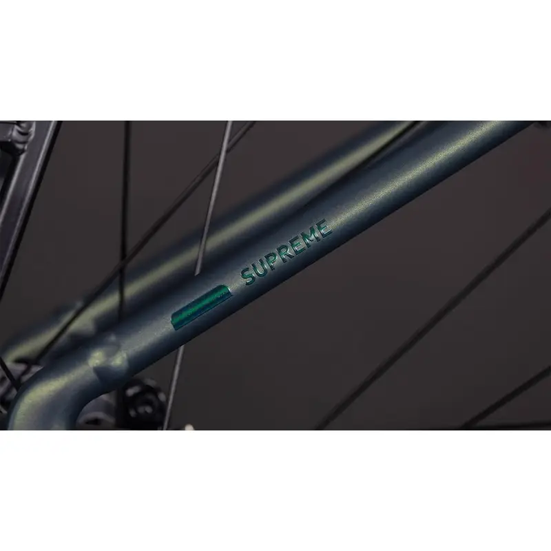 Supreme RT Hybrid Comfort Exc Easy Entrada 28 '' 1V 50 mm 600Wh Bosch PX Sagebrushgreen 2026 Tamaño #4