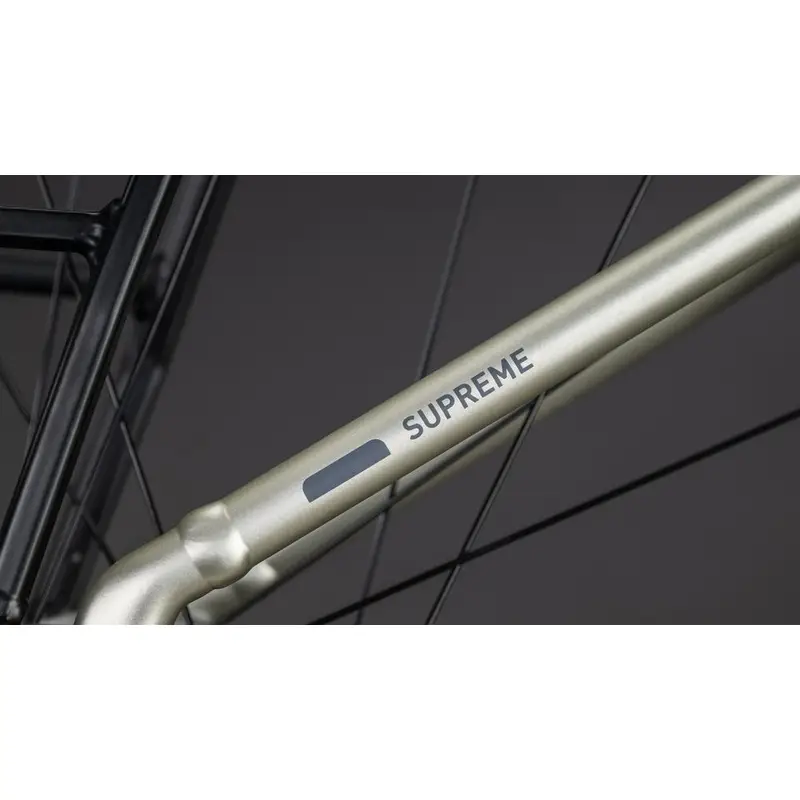 Supreme RT Hybrid Comfort Exc Easy Entrada 26 '' 1V 50mm 600Wh Bosch PX Champagne'n'gy 2026 Tamanho #4