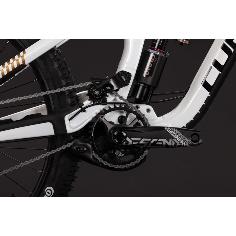 TWO15 Race 29'' 7v 200mm Powergold’n’Black 2027 Taglia L #4
