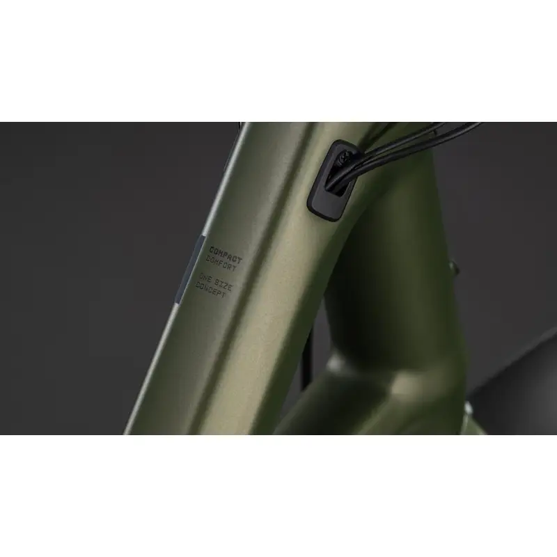 Comforto híbrido compacto 20 '' 1V 545WH Bosch Performance Line Reedgreen'n'Reflex 2026 #1