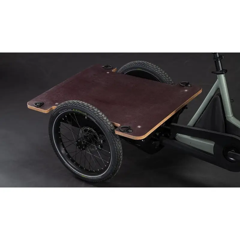 TRIKE FALTBED HYBRID 24 ’/20 '' 1V 100mm 750WH Bosch Cargo Line Swamp'n'Reflex 2026 #5