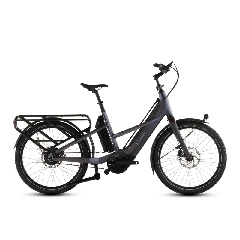 Longtail Hybrid Comfort 26 '' 1V 800WH Bosch Cargo Line Haze'n'Reflex 2026 - image