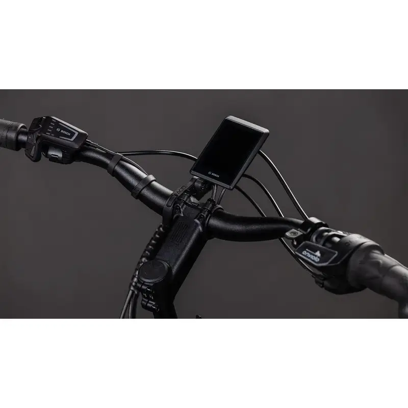 Longtail Hybrid Comfort 26 '' 1V 800WH Bosch Cargo Line Haze'n'Reflex 2026 #2