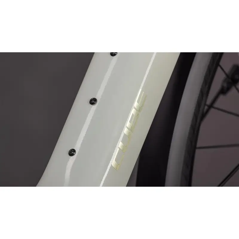 Hybrid SLX Fe 28 '' 1V 400WH Bosch Performance SX Reedbeige'n'Chrome 2026 Tamanho XL XL #2