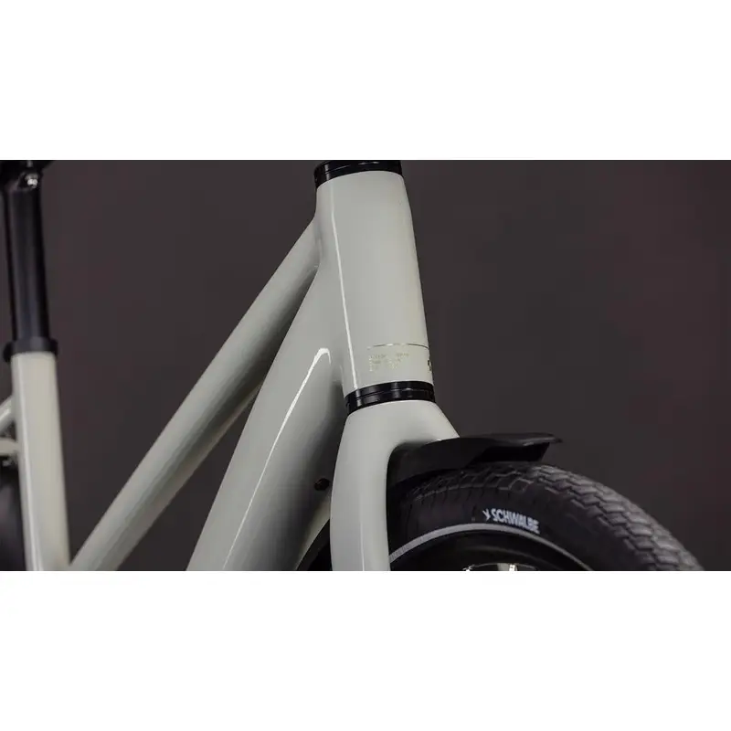 Editor de trapézio híbrido SLX Fe 28 '' 1 V400WH Bosch Performance SX Reedbeige'n'Chrome 2026 Size S #5