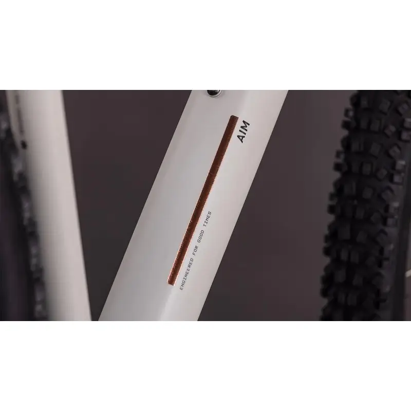 AIM PRO 27.5 '' 10V 100 mm Greige'NTITAN 2026 Tamaño S #3