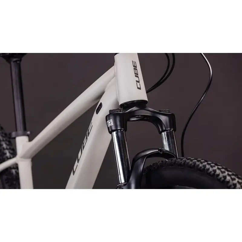 AIM PRO 27.5 '' 10V 100 mm Greige'NTITAN 2026 Tamaño S #5