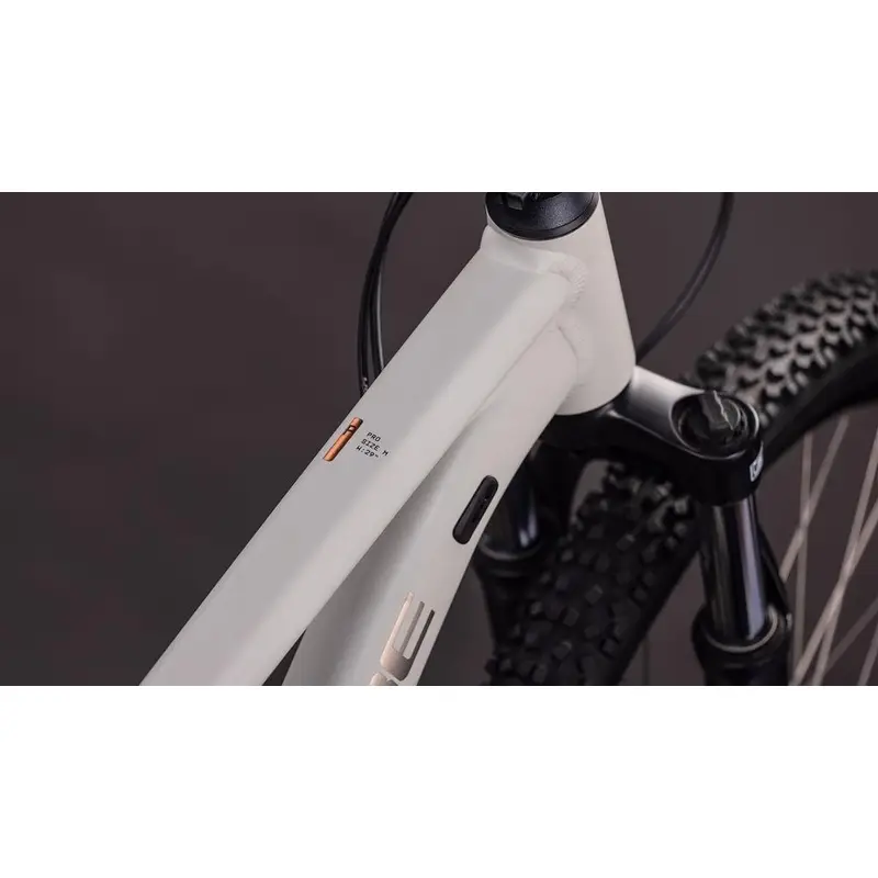 AIM PRO 27.5 '' 10V 100mm Greige''titan 2026 Tamanho XS #1