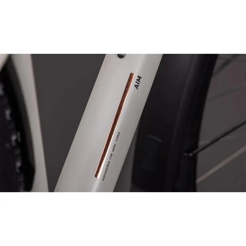 AIM PRO FE 29 '' 10V 100mm Greige''tiTitan 2026 Tamanho M #2