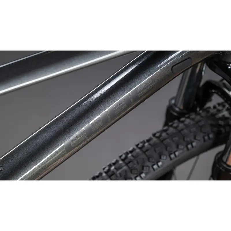 AIM SLX 29 '' 12V 100 mm Slablack'n'n'Black 2026 CUT L #2