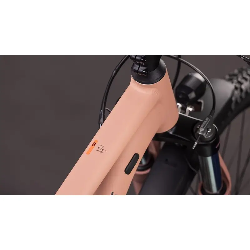 AIM SLX FE 27.5 '' 12V 100 mm Blushrose'n'Black 2026 Tamaño XS #1