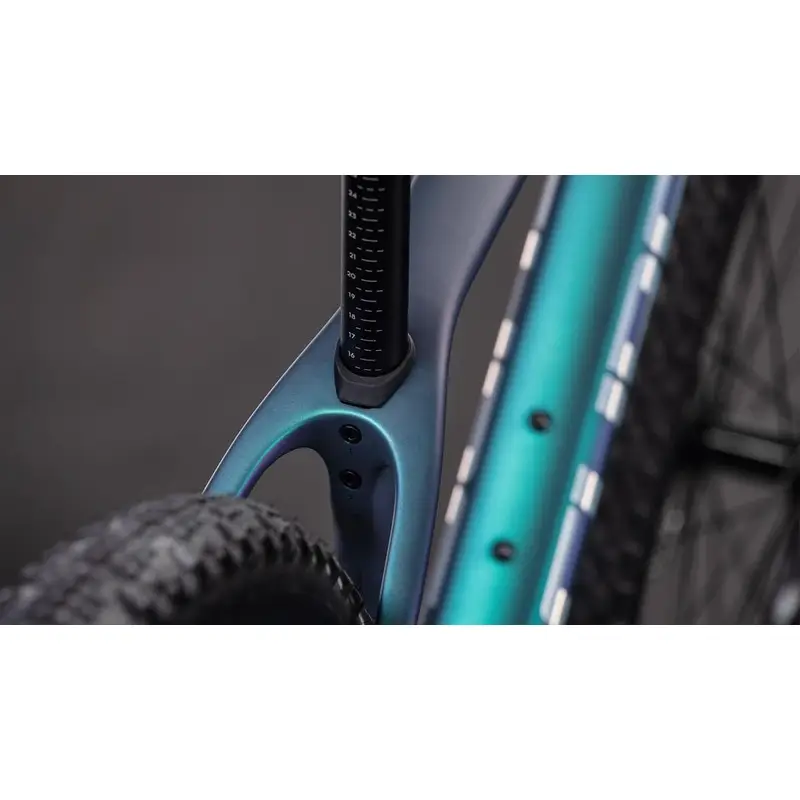 Reacción C: 62 Pro 29 '' 12V 100 mm Polarlige'n'Black 2026 Cut L #2