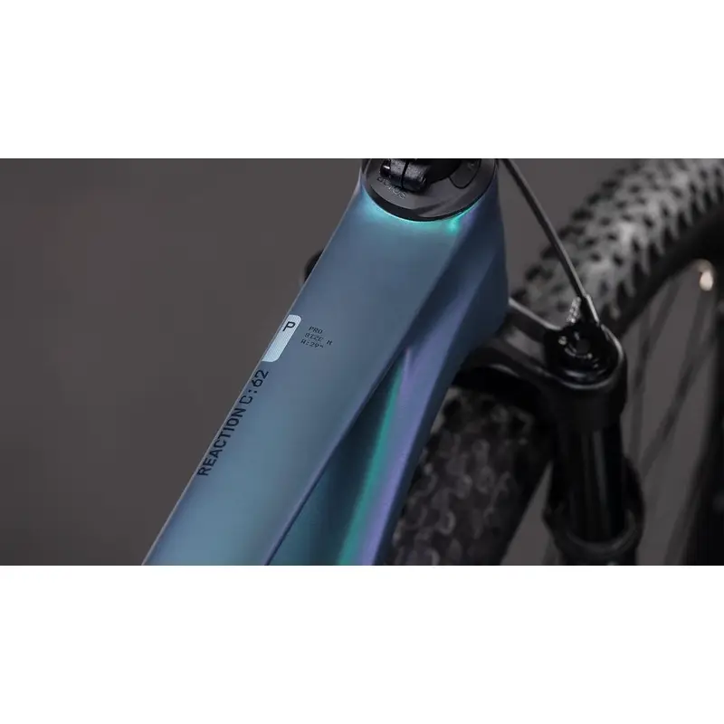 Reação C: 62 Pro 29 '' 12V 100mm Polarlige'n'black 2026 Tamanho S #1