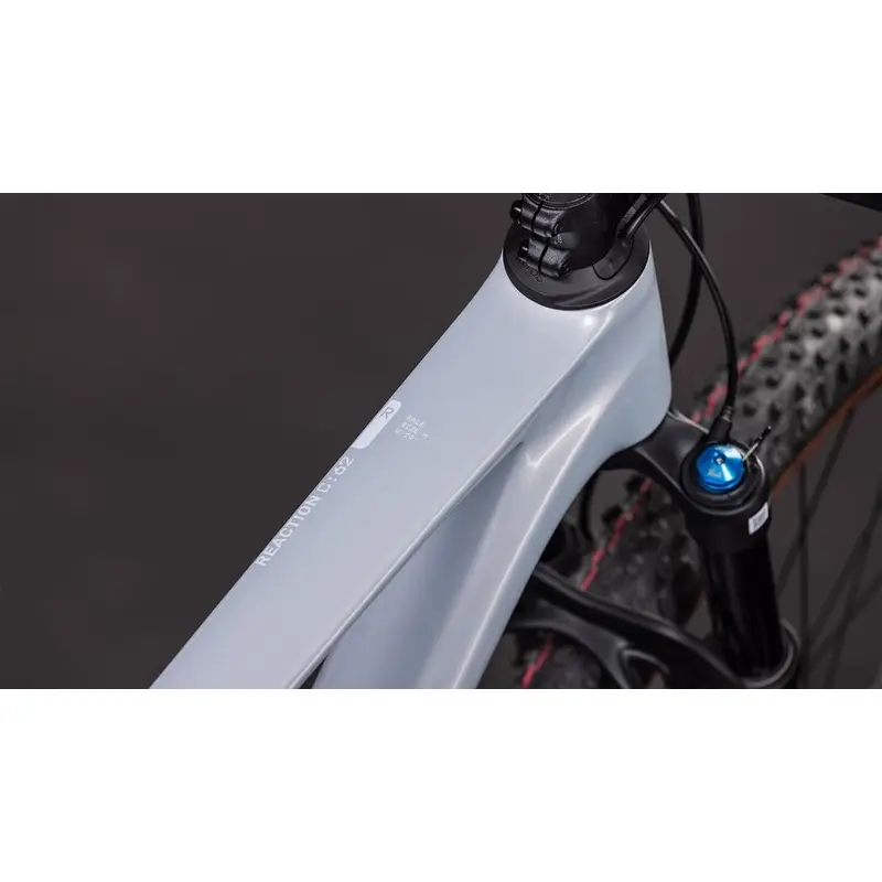 Reação C: 62 Raça 29 '' 12V 100mm FogGrey'n'white 2026 Size S #1