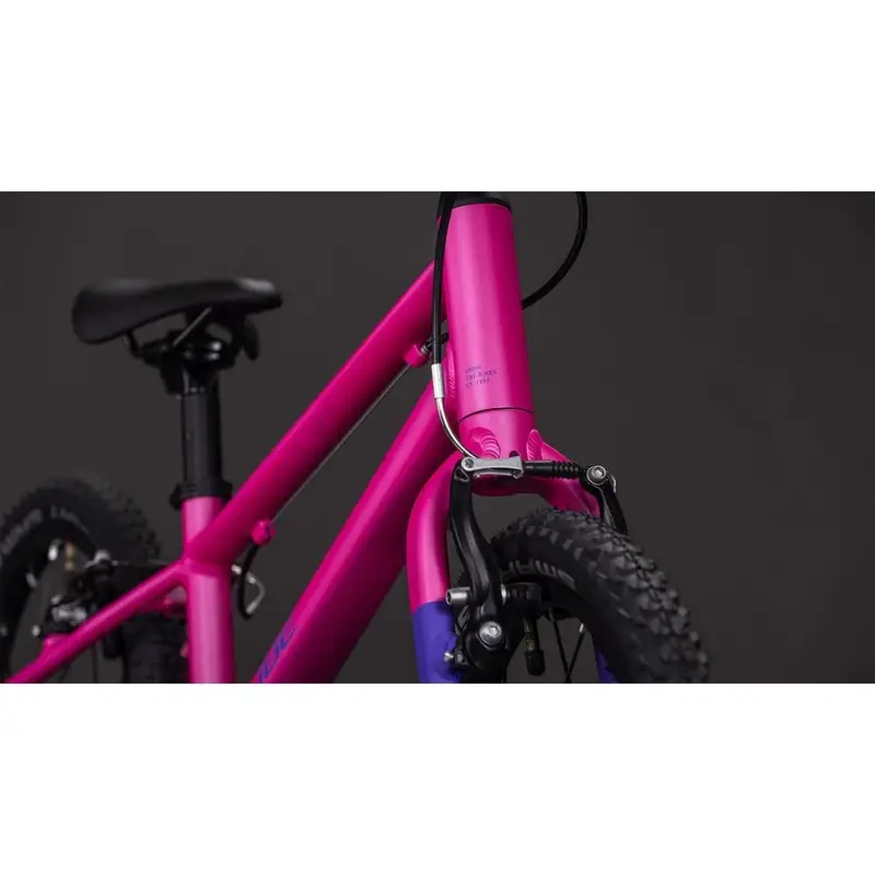 Numove 160 16 '' 1V Fuchsia'n'pum 2026 #5