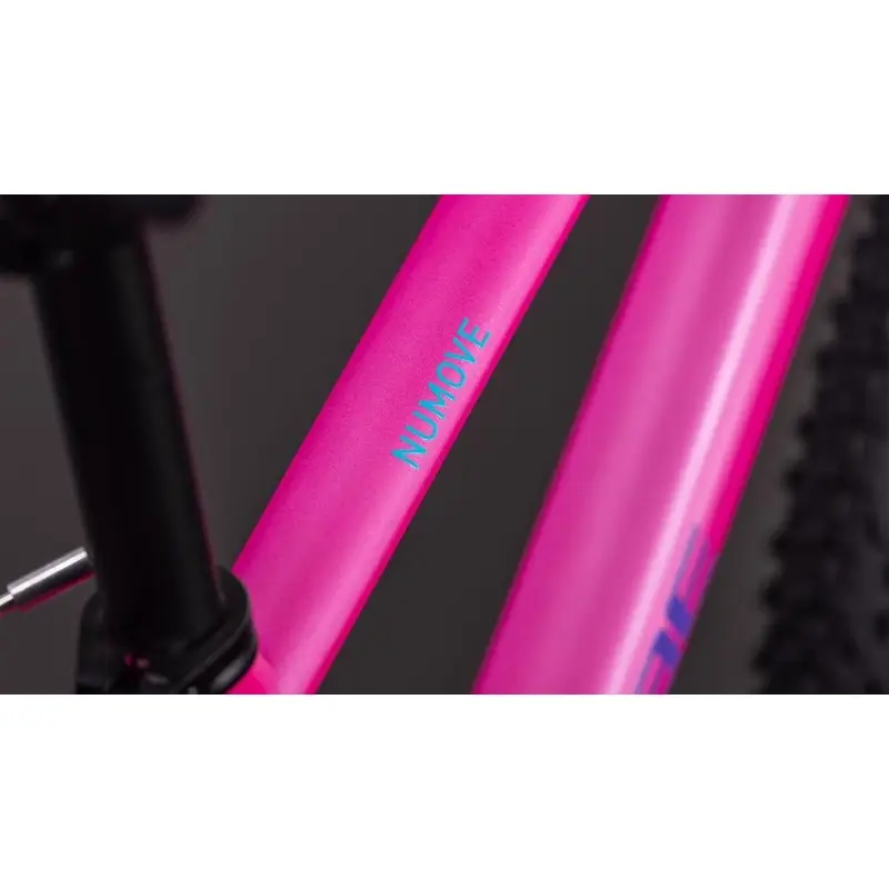 Numove 180 18 '' 1V Fuchsia'n'pum 2026 #1