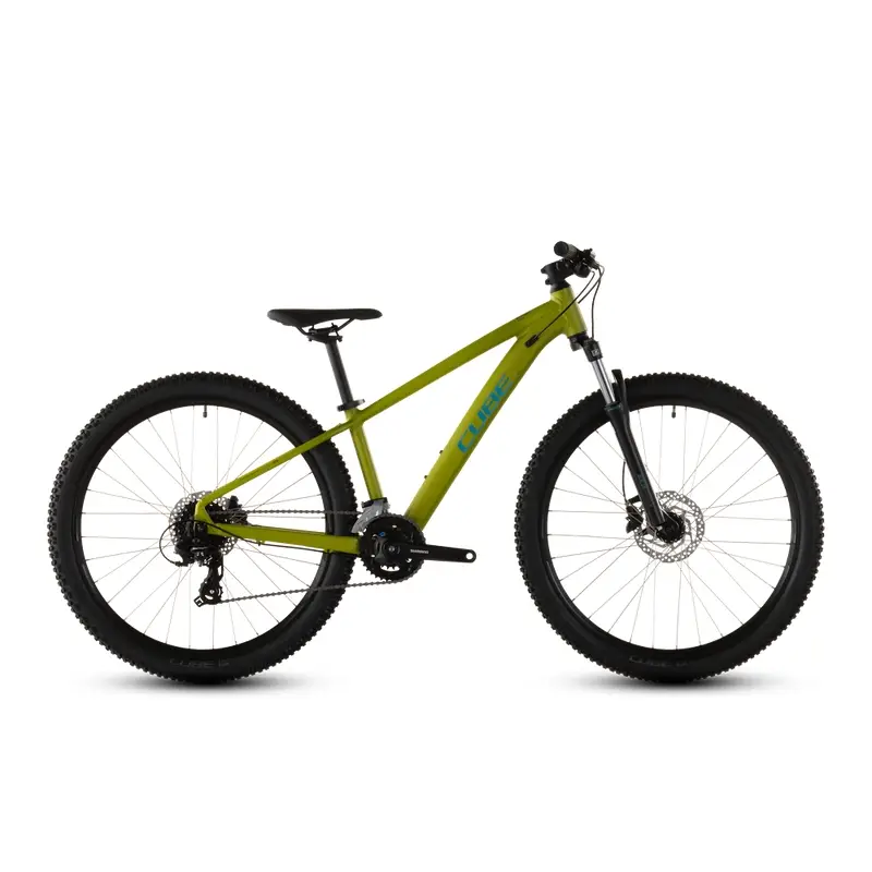 Säure 260 Scheibe 26 '' 8 V 80 mm Echsenzard'n'blue 2026 - image