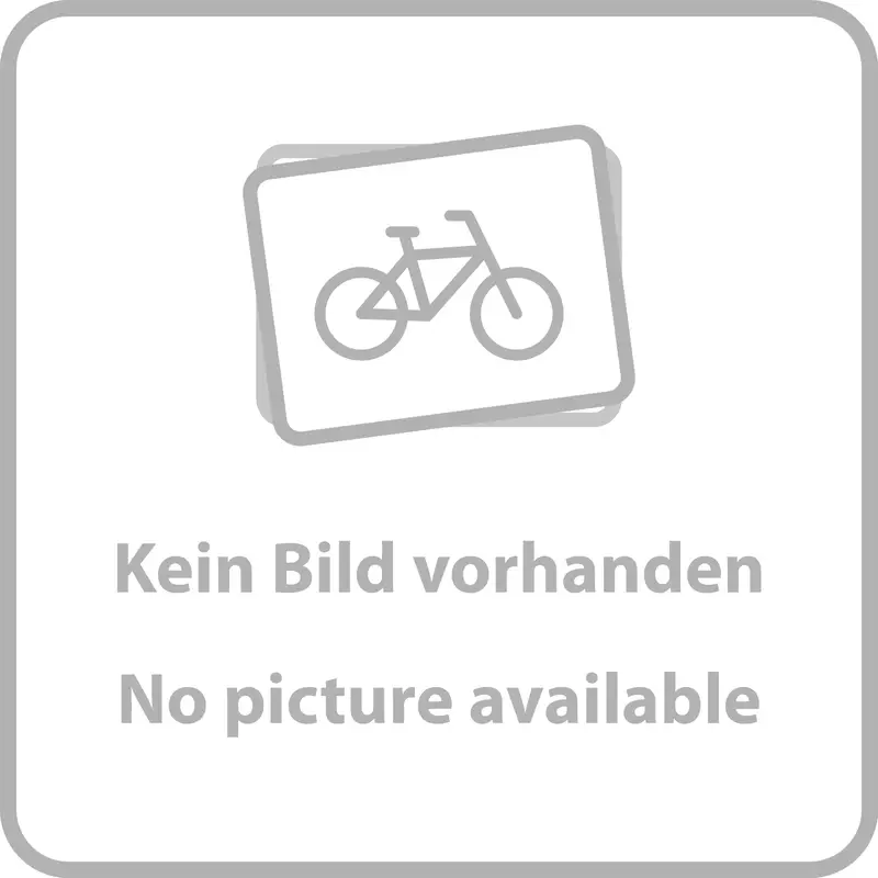 Stem Forcella Forcella Boxxer C1-C2 (2019-2023) 27.5'' 20x110mm Boost Black Boxxer C1-C2 - image
