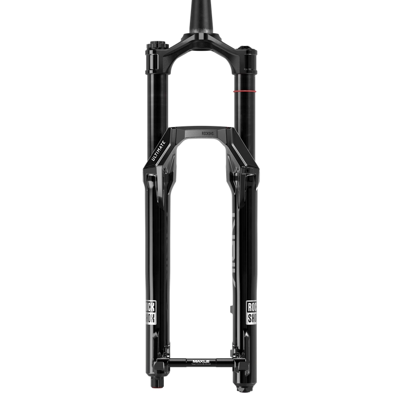 Lyrik Ultimate Charger 3.2 RC2 E1 29'' Boost 15x110mm 170mm Offset 44mm Fork #2
