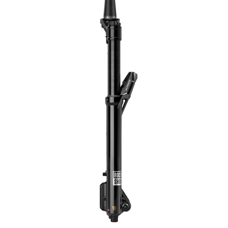 Lyrik Ultimate Charger 3.2 RC2 E1 29'' Boost 15x110mm 170mm Offset 44mm Fork #3