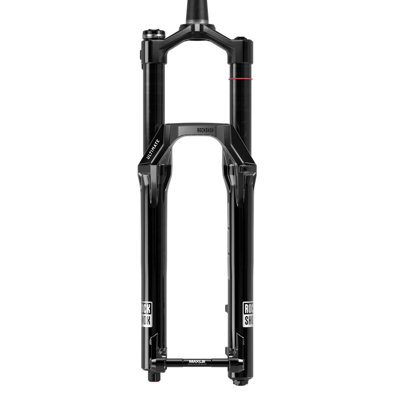 Forcella ZEB Ultimate Flight Attendant B1 29'' Boost 15x110mm 170mm Offset 44mm #2