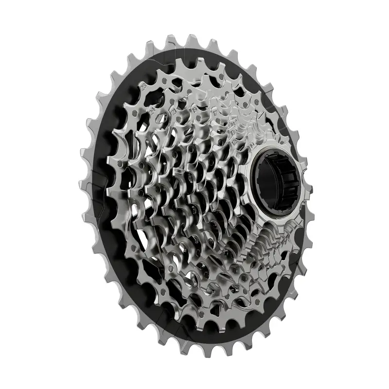 Force Pignoni Box XG-1270 E1 XDR 12V 10-33D #1