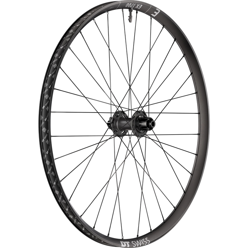 Ruota Posteriore 29'' EX 1700 Classic 30DB 30mm Alluminio Boost 12x148mm IS 6 Fori Shimano HG 11/12v
