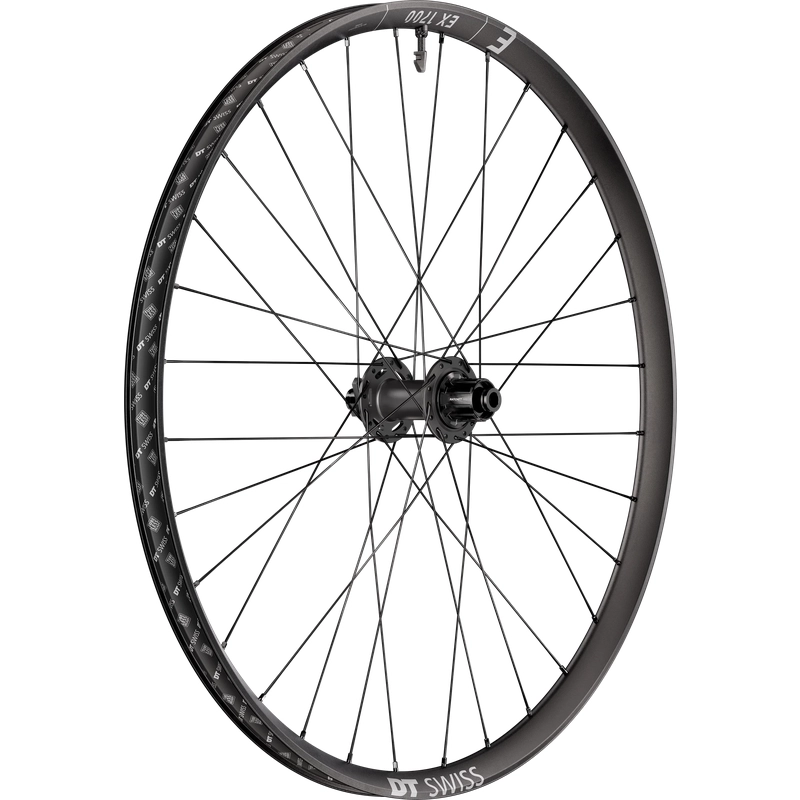 Ruota Posteriore 29'' EX 1700 Classic 30DB 30mm Alluminio Boost 12x148mm IS 6 Fori Shimano HG 11/12v - image