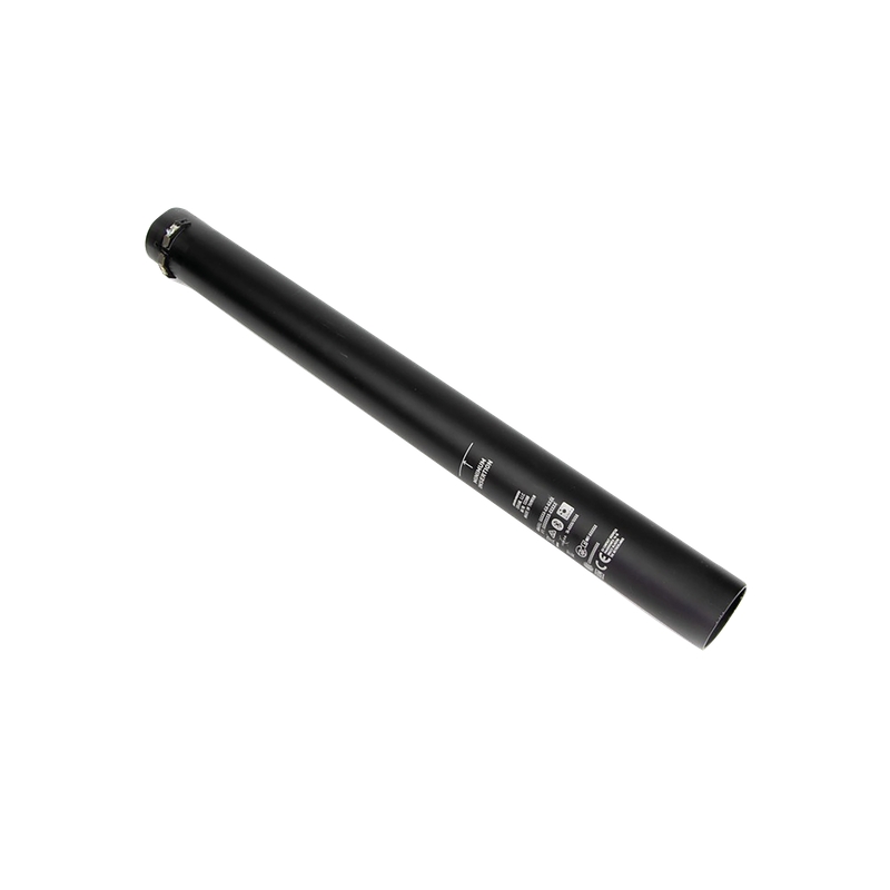 Lower Tube Seatpost Reverb AXS B1 ø31.6mm 125mm (2026+)