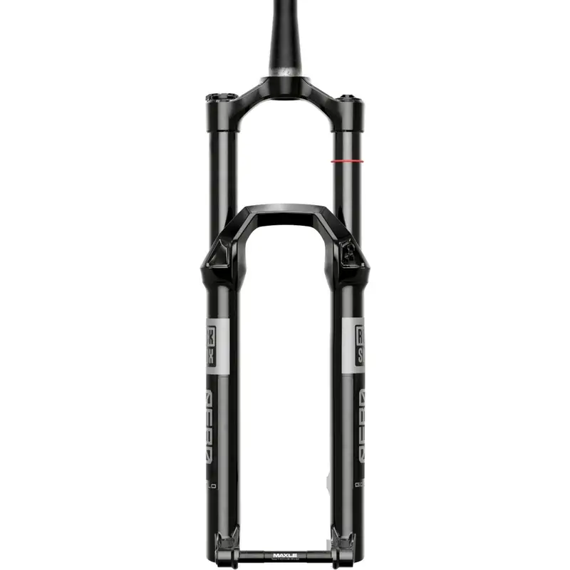 Forcella REBA Gold 29'' 3P Crown Isolator RL DebonAir 15x110mm Boost 120mm nero #2
