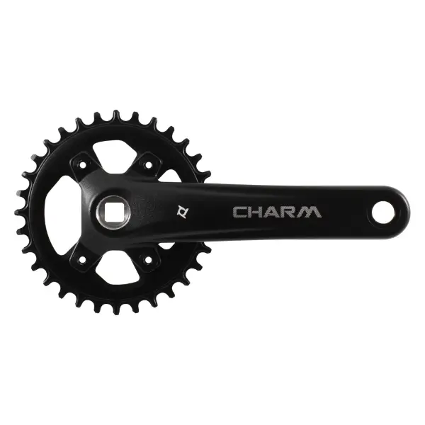 Charm 1x10v 32D, 170 mm, black #1