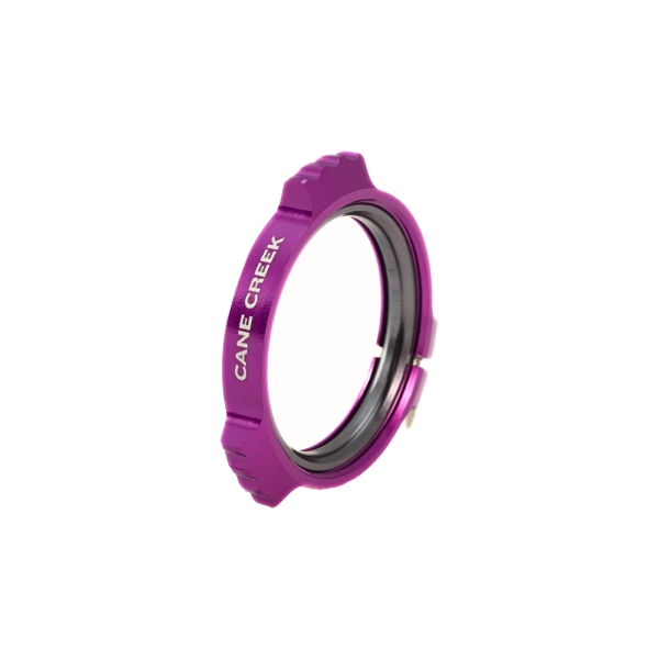 Anillo precárico para ewings viola