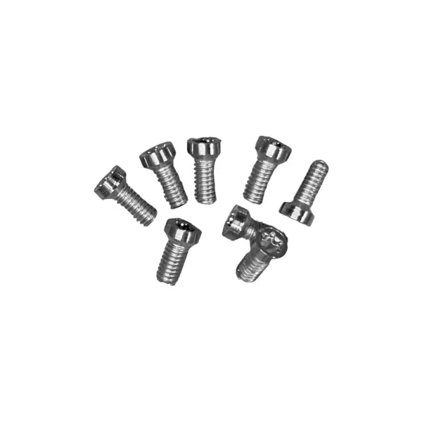 Kit Viti Torx M4x10 8 Pezzi - image