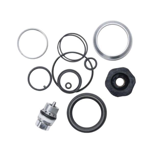 Kit de Revisão do Regiselo Transfer 34.9mm A Partir de 2025