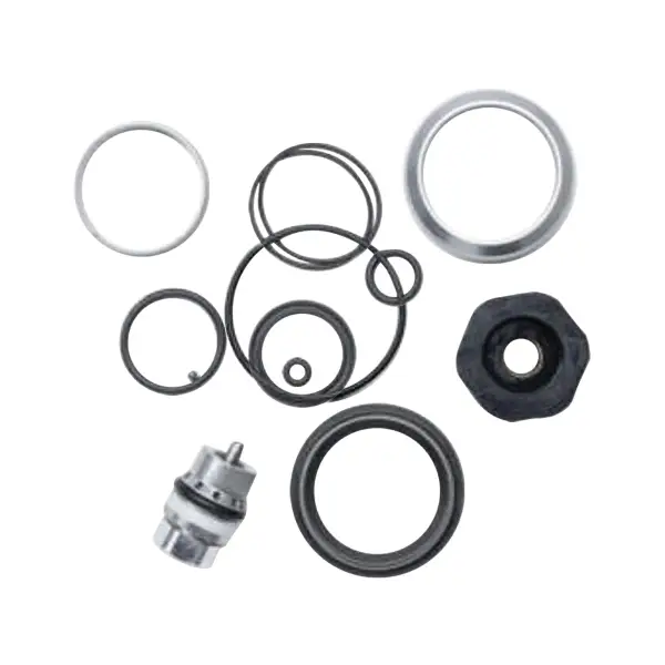 Kit de Revisão do Regiselo Transfer 34.9mm A Partir de 2025 - image