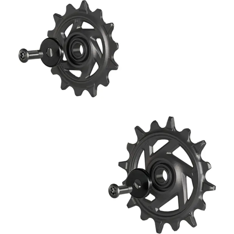 Kit Pulegge Deragliatore Posteriore XX/X0 Eagle T-Type - image