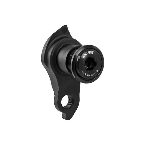 Forcellino UDH Passo 1.0 STD - image