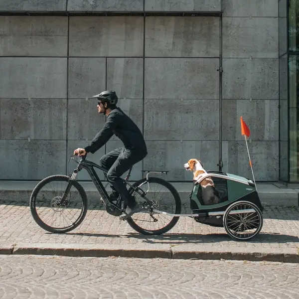 Carrito Porta Perros Bexey M Hazy Green #3