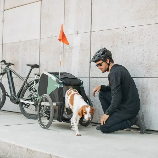 Chariot pour chien Bexey L Hazy Green #1