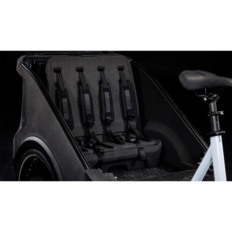 Trike Family Hybrid 24/20'' 1v 100mm 750Wh Bosch Cargo Line Flashwhite’n’Reflex 2027 #9