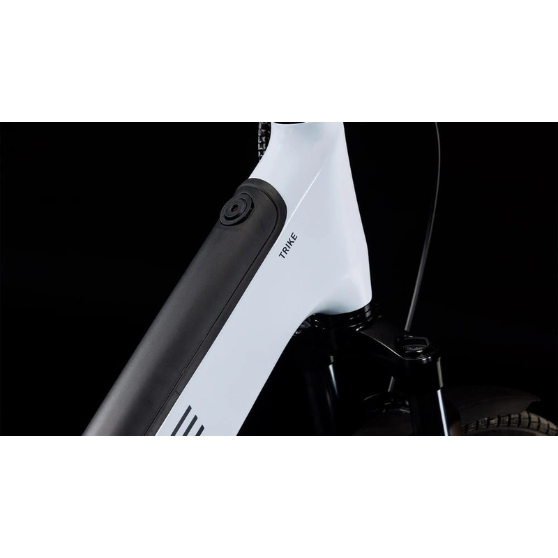 Trike Family Hybrid 24/20'' 1v 100mm 750Wh Bosch Cargo Line Flashwhite’n’Reflex 2027 #1